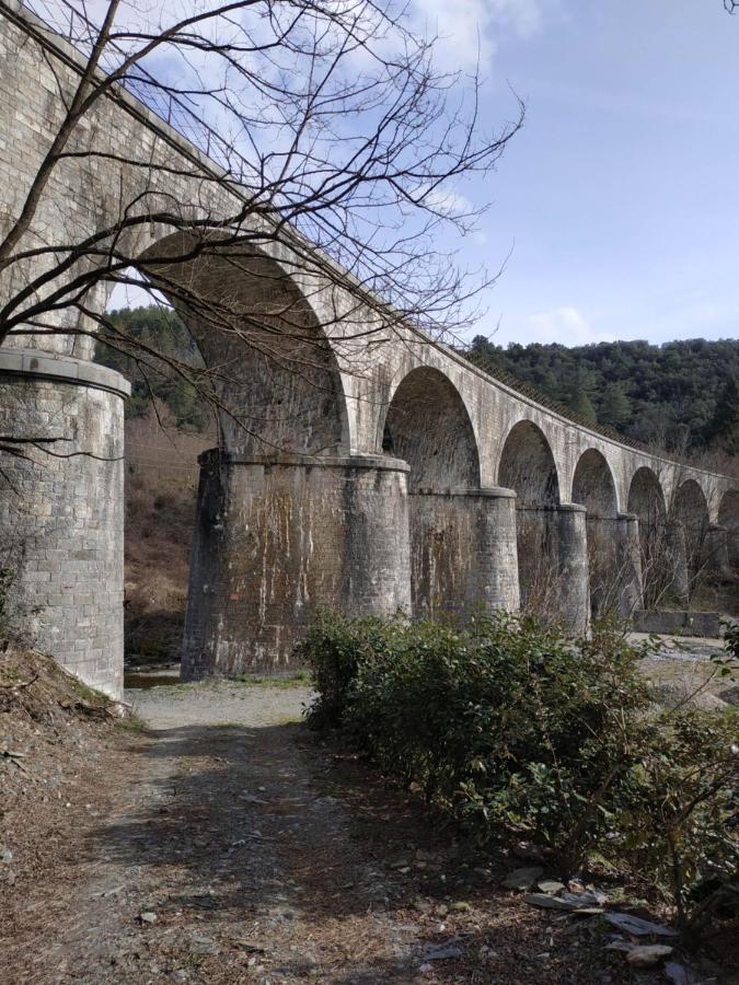Ferienhaus Maison Au Coeur Des Cevennes Meridionales Saint-André-de-Majencoules